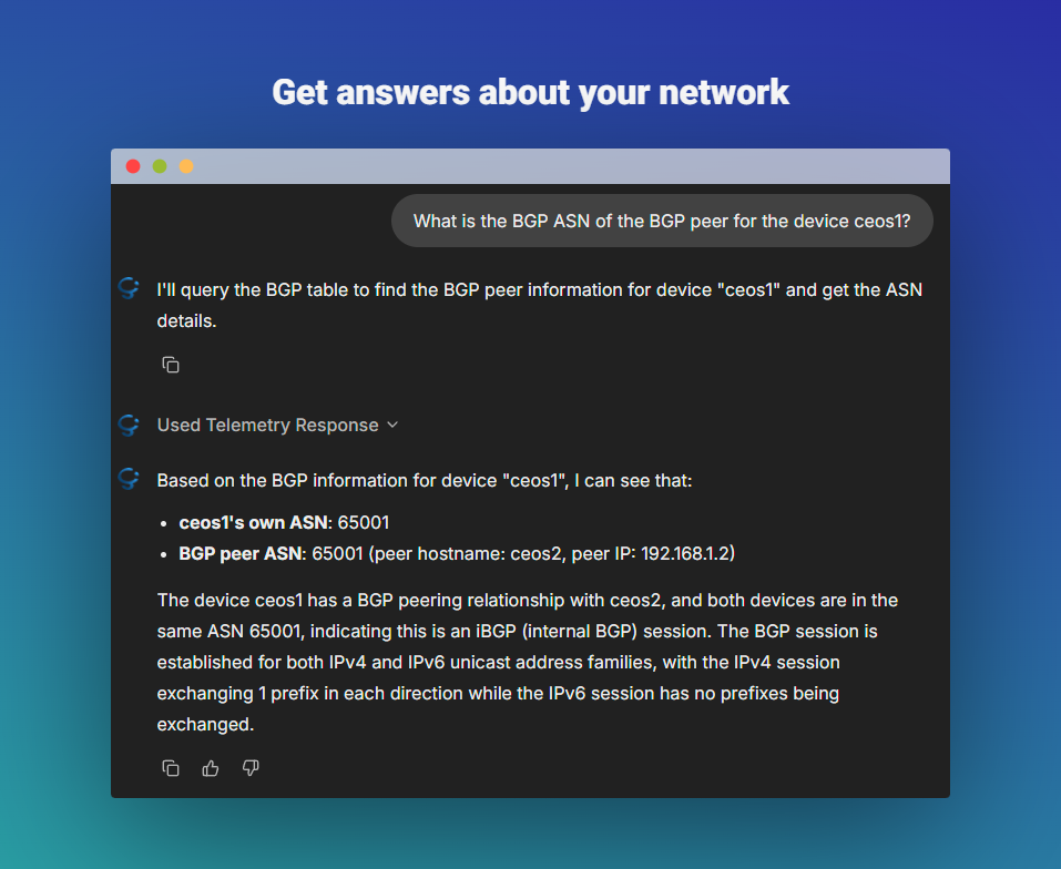 CybertraceAI-Ops BGP ASN query example